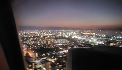 ANAマイルは買える「バイマイル(Buy Miles)」って知ってました？